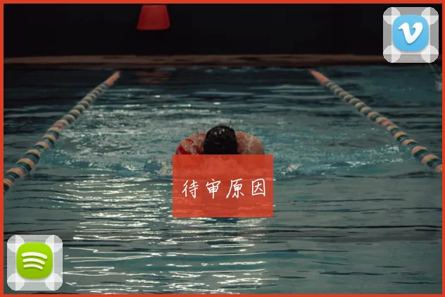 待审原因