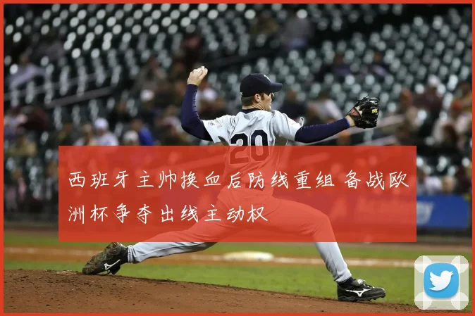 西班牙主帅换血后防线重组 备战欧洲杯争夺出线主动权