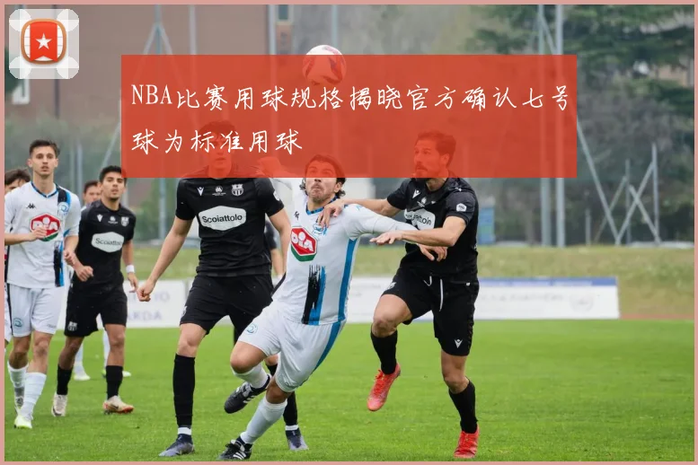 NBA比赛用球规格揭晓官方确认七号球为标准用球