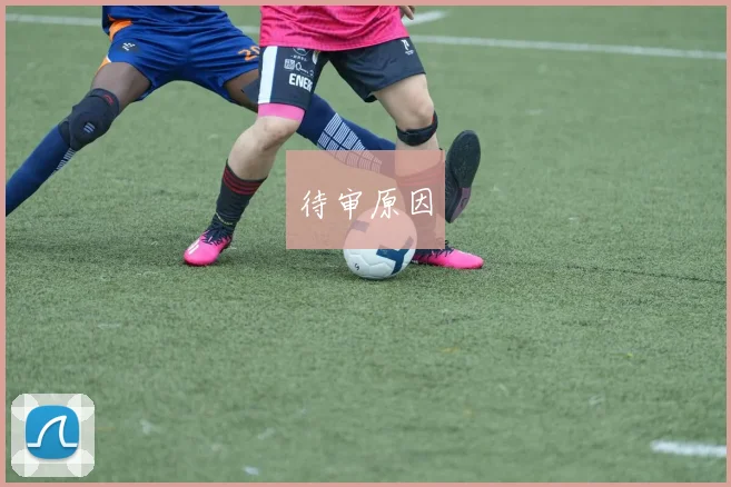 待审原因