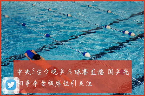 中央5台今晚乒乓球赛直播 国乒亮相争夺晋级席位引关注