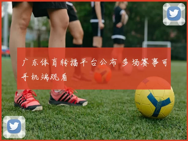 广东体育转播平台公布 多场赛事可手机端观看